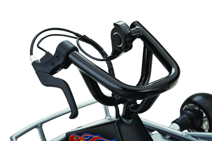 Razor Ground Force GoKart